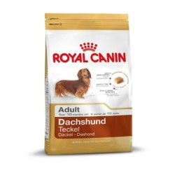 ROYAL CANIN BHN Small Breed...