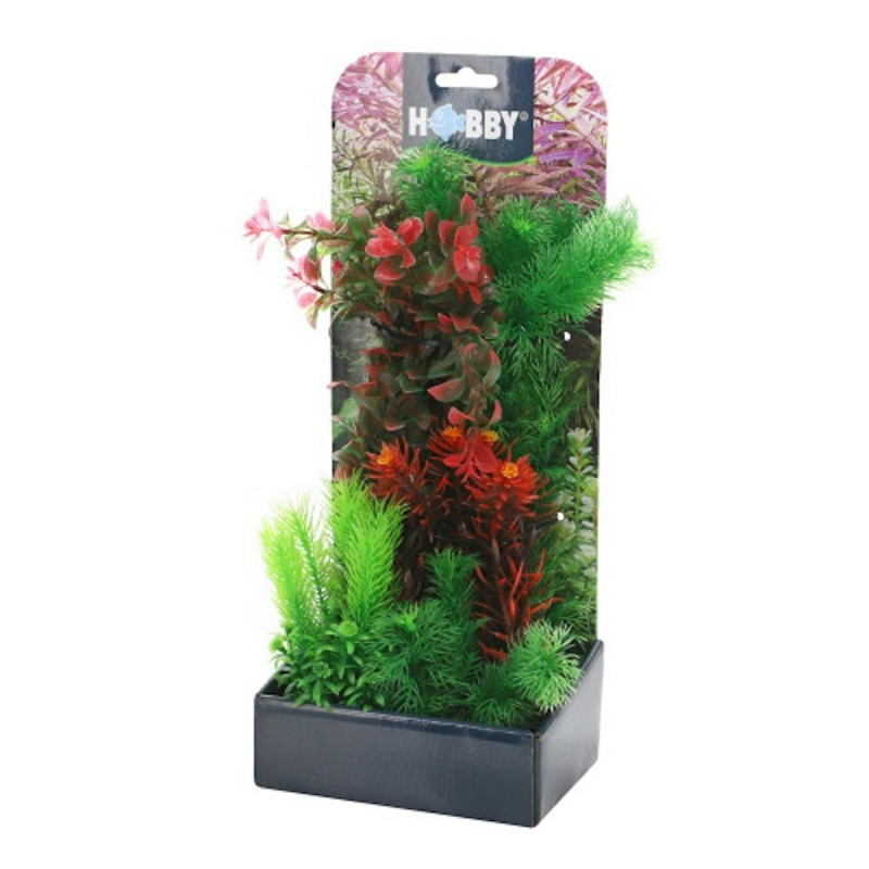 HOBBY Plantasy Set Aquarieneinrichtung Set 3