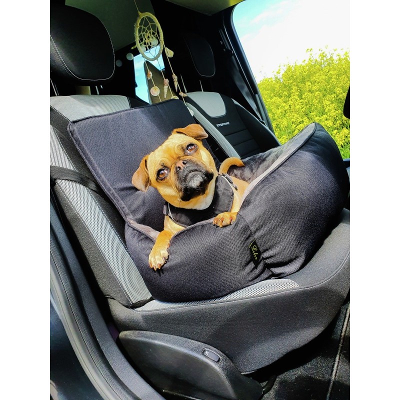 LEBON Siggi – Autobett Hundetransport