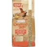 VERSELE-LAGA Gold 4 mix Getreidemischung 20kg