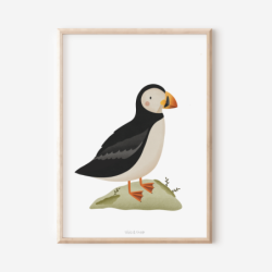 Poster Puffin /...