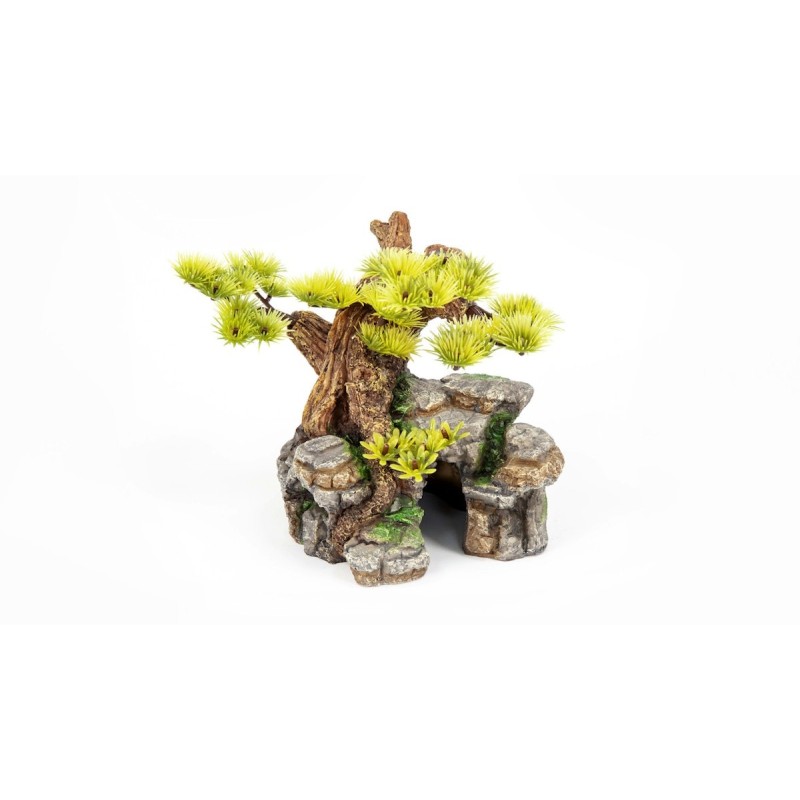 aquatlantis Bonsai