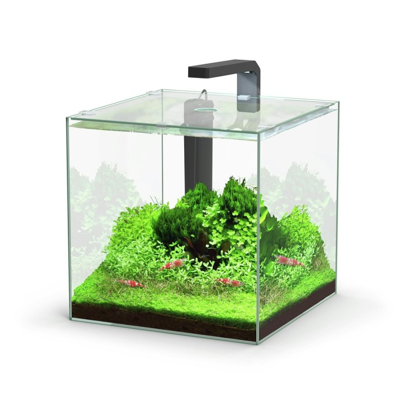 Aquatlantis Kubus LED Aquarium-Set 22 Liter