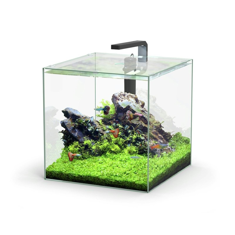 aquatlantis Kubus LED 54 Liter Aquarienset Aquarium