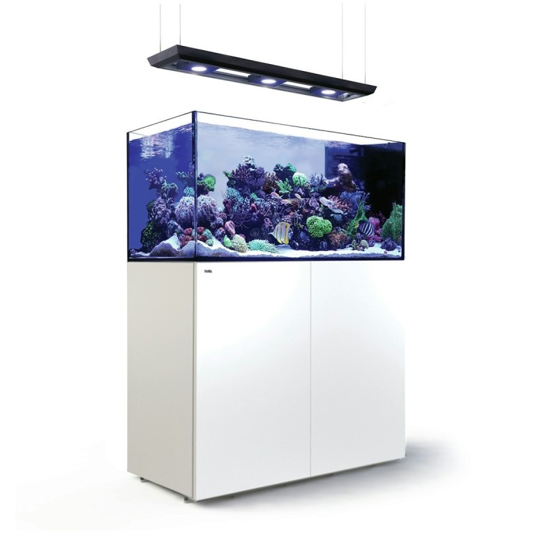 Red Sea Peninsula P500 Deluxe Meerwasseraquarium mit Unterschrank weiß