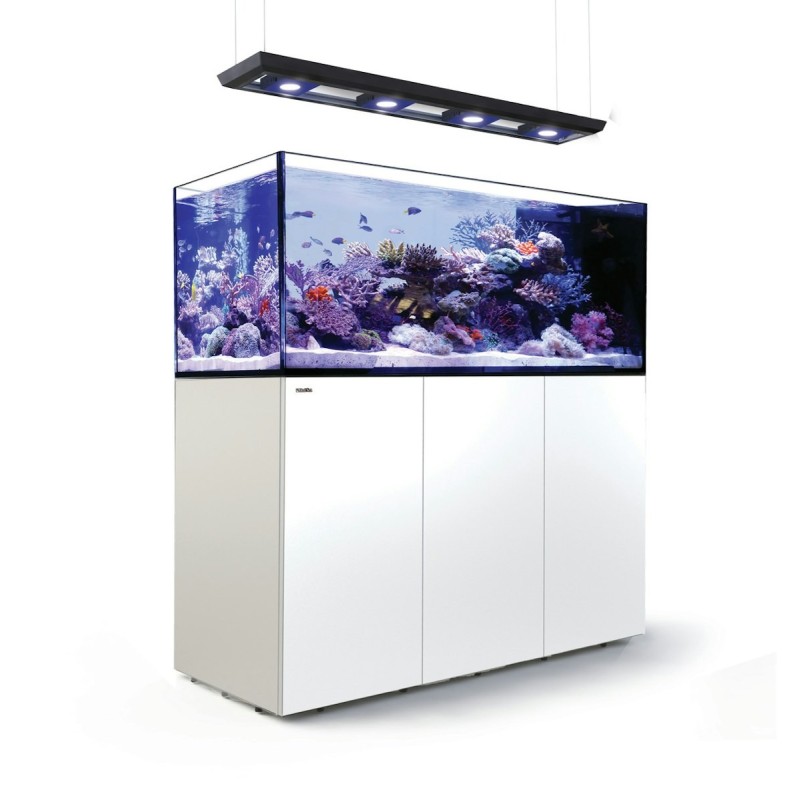 Red Sea Peninsula P650 Deluxe Meerwasseraquarium mit Unterschrank weiß