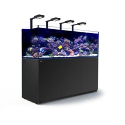 Red Sea REEFER Deluxe XXL...