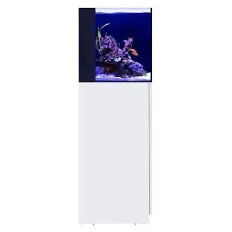 Red Sea Desktop Cube Kombi Aquarium mit Unterschrank weiß