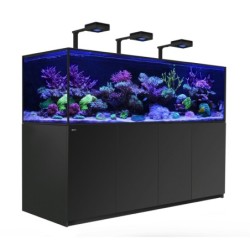 Red Sea Reefer S 1000...