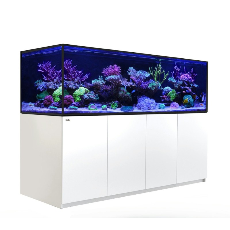 Red Sea Reefer S 1000 Meerwasser-Aquarium mit Unterschrank weiß