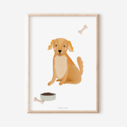 Poster Hund Golden...