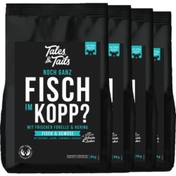 Noch ganz Fisch im Kopp? -...