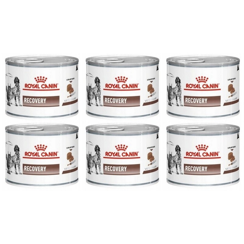 ROYAL CANIN Vet dog cat recovery 6 x 195 g Diät-Alleinfuttermittel für ausgewachsene Hunde und ausgewachsene Katzen