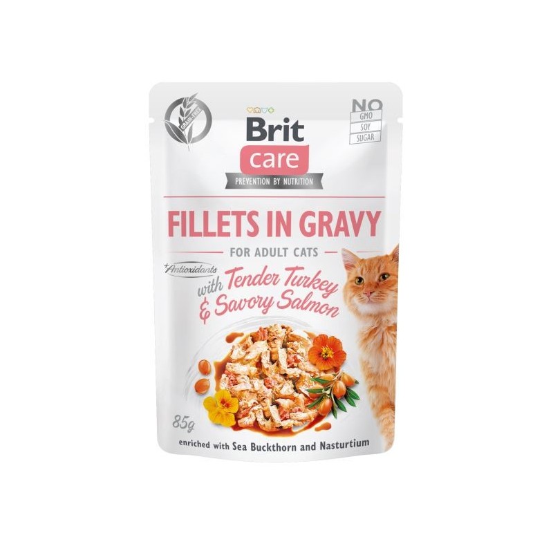 BRIT Care Fillets in gravy Tender Turkey  und  Savory Salmon 24 x 85 g