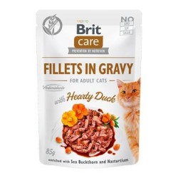 BRIT Care Fillets in gravy...