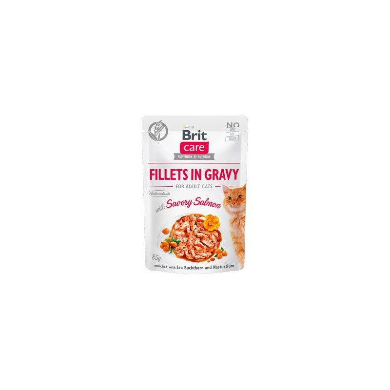 BRIT Care Fillets in gravy savory salmon 24 x 85 g