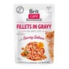 BRIT Care Fillets in gravy savory salmon 24 x 85 g