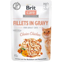 BRIT Care Fillets in gravy...