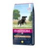 EUKANUBA Developing Junior Large Breed Chicken 15kg