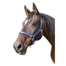 Halfter Pony 2 Einstellungen Kerbl mustang