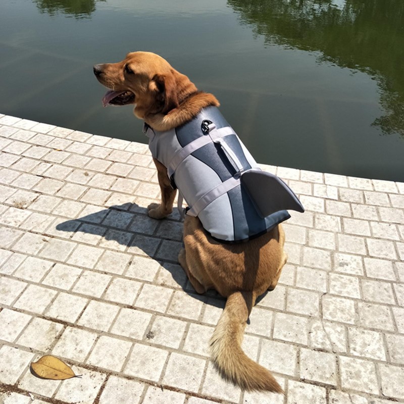 Hunde-Schwimmweste, Haustier-Hai-Badeanzug, Weste, Haustier-Sicherheitskleidung, Hunde-Badeanzug-Schutz für Wassersicherheit