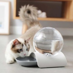 Bubble Pet Drink Bowl Drink...