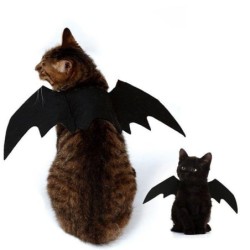 Halloween-Haustier, Katze,...