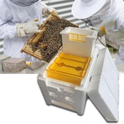 Bee Paarung Schaum Box Hive...