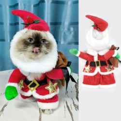 Weihnachtskostüm für Katzen...