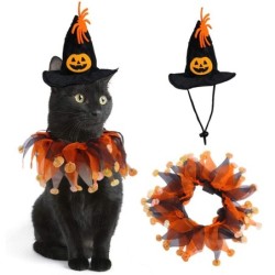 Halloween Katze Cosplay...