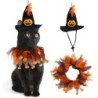 Halloween Katze Cosplay Katzenkleidung Halloween Kleid Kostüm Outfit Kätzchen Katze Kostüm Hut Hundekostüm Hut mit Haustier P