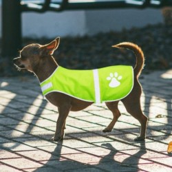 Fluoreszierende Hundejacke,...