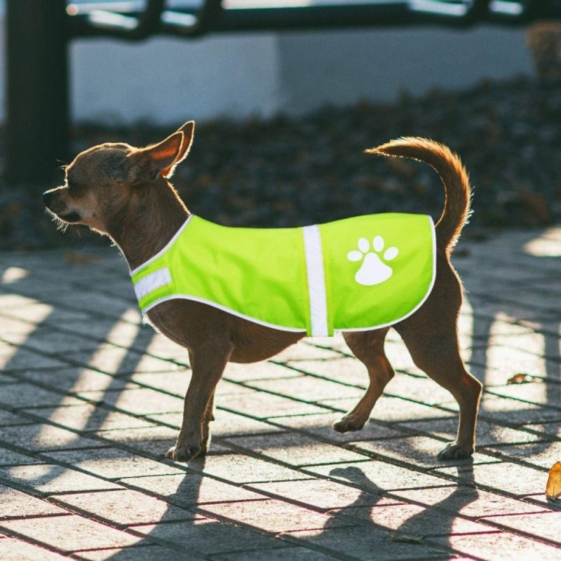 Fluoreszierende Hundejacke, wasserdichte Hundebekleidung, neue reflektierende Hundeweste