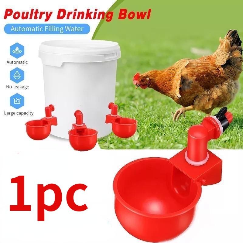 1PC Automatische Huhn Wasser Tasse Waterer Schüssel Kit Trinkwasser Feeder für Küken Ente Gans Wachtel