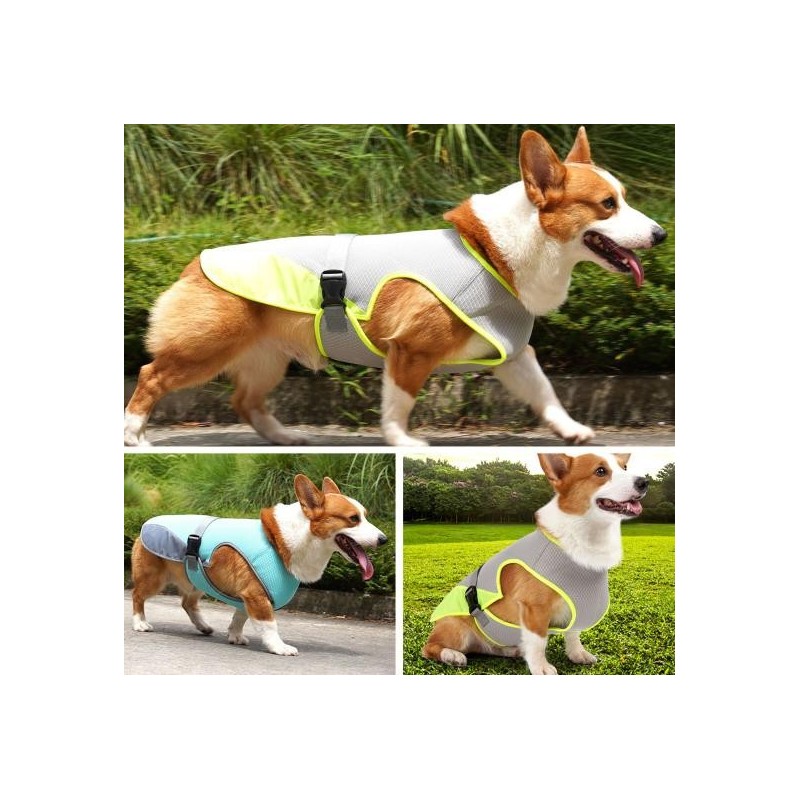 Hundeweste, exquisite Kanten, verstellbare Schnalle, Netzstoff, gut vernäht, universell, cooles Polyester, für Hunde