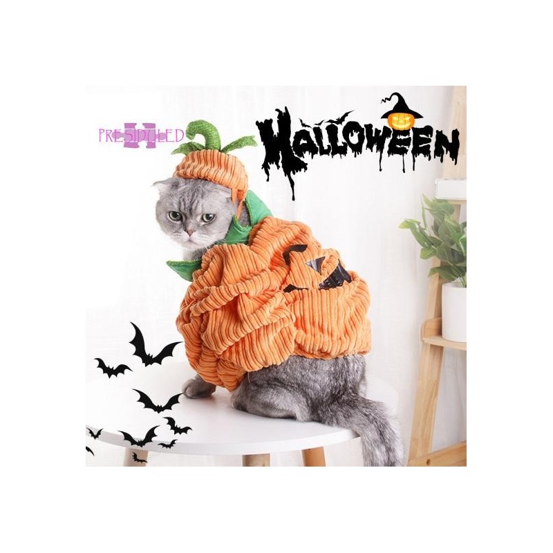 Niedliche Halloween-Haustierkostüme, Kürbismodell, lustiges, bequemes Cordkleid für kleine Hunde, Katzen, Kätzchen