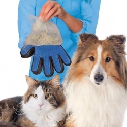 Gants Brosse Poils Chien...