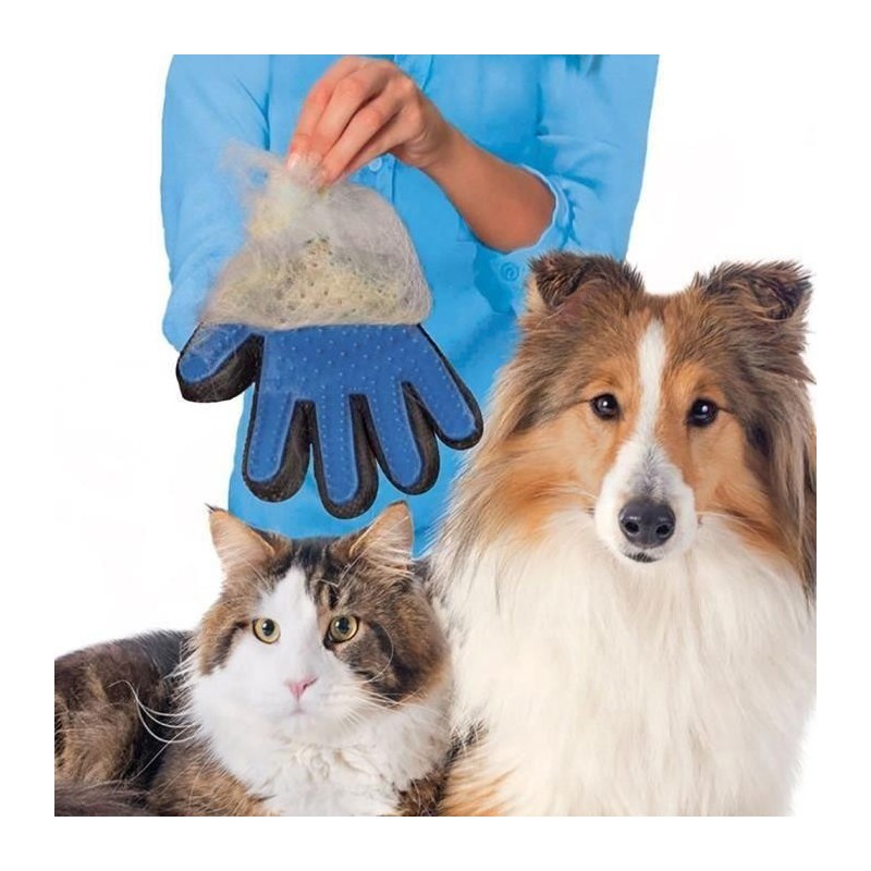 Gants Brosse Poils Chien Chat Nettoyage Pet True Touch doux efficace main droite