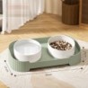 Ceramic Cat Feeding Bowls Set for Food And Water, Elevated Design Cats Puppies