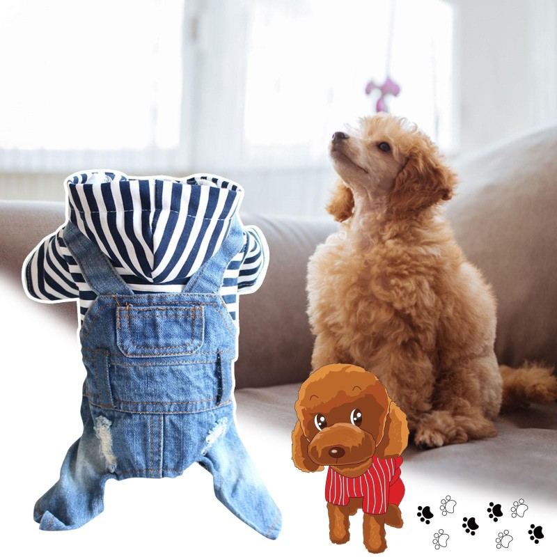 Jeansweste, Jacke, T-Shirt, süße Welpenkleidung, bequeme, coole Kleidung für kleine Hunde