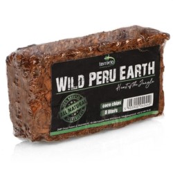 Terrario Wild Peru Earth 7L...