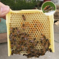 Bienenstock Box Ernte...