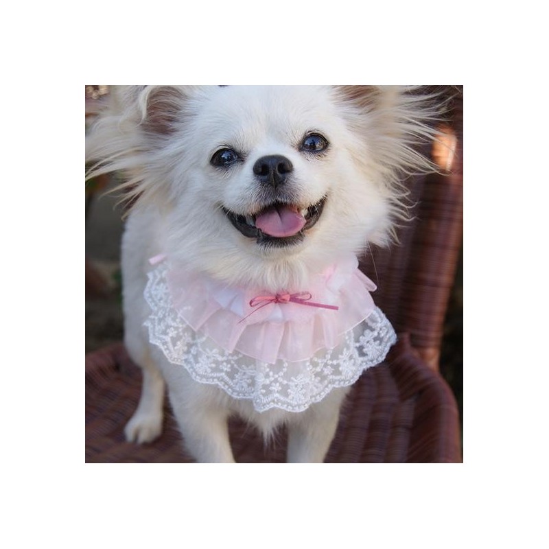 Pet Saliva Bib Eye-catching Wear Resistant Lace Nicely Designed Pet Collar Saliva Bib for