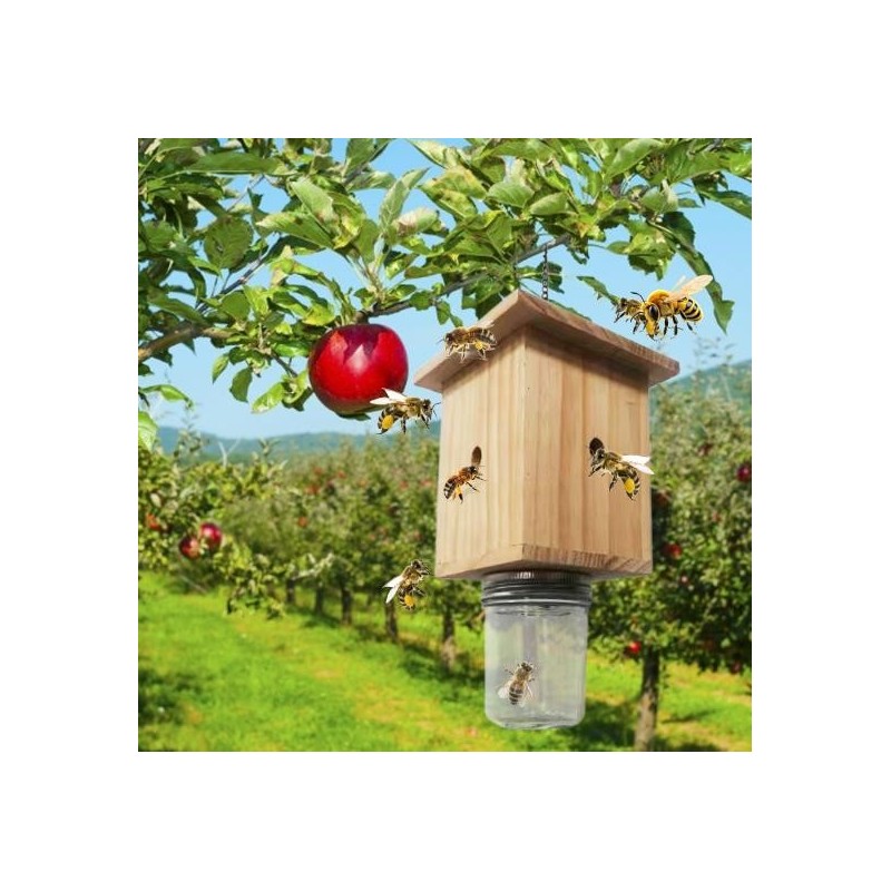 Wooden Bee Trap Box Cube Shape Low-maintenance Insect Trap with Bottle Easy Placement Hanging Bee Catcher for Outside Pest Co