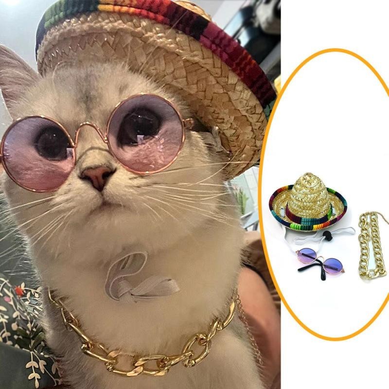 3 Piece Cat Costume Mexican Style Outfit Mexican Cat Sombrero Hat Sunglasses Necklace Set Party