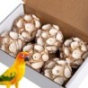 6er-Pack Vogelspielzeug, Kauspielzeug für Sittiche, natürliches, weiches Kauspielzeug zum Zerkleinern und Futtersuchen für We