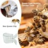 5PCS Zimmer Kunststoff Box Imker Auszustatten Keine-verletzen Insekten Catcher Königin Bee Käfige Clip Bienenzucht Clips