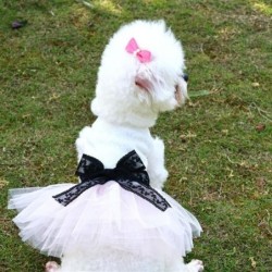 Hundekleid mit Schleife,...