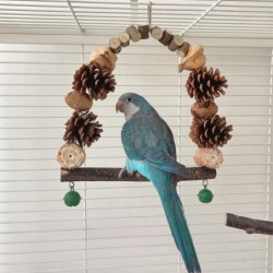 Parrot Swing Toys, Wood...