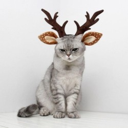 Elastic Pet Antlers...